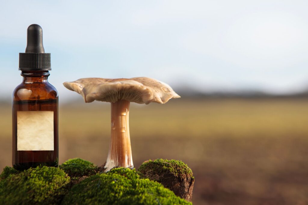 champiñones y botella de esencia