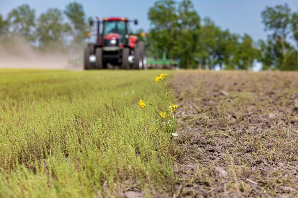 Campo agrícola con un tractor trabajando la tierra, mostrando el contraste entre suelo cultivado y vegetación, en un entorno rural.